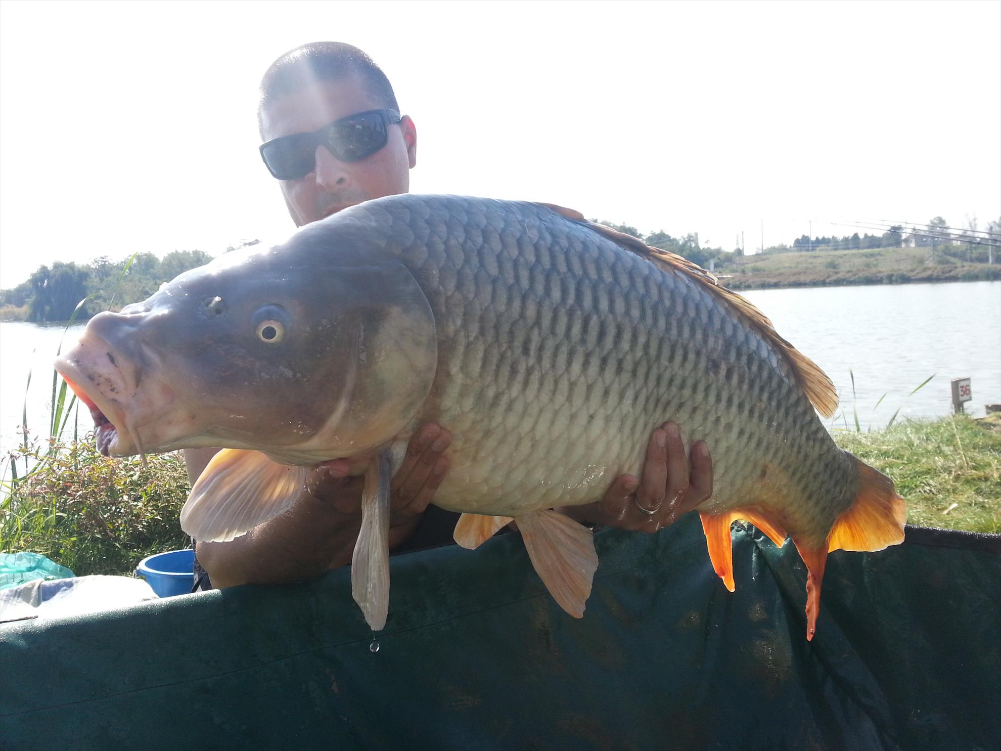 Hermes Peris 19 - 20 septembrie 2014 - 20140920121628.jpg